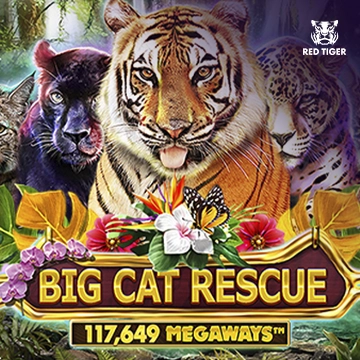 Big Cat Rescue Megaways - STOREBET77